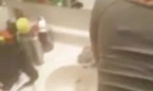 भारतीय देसी बकवास बड ...